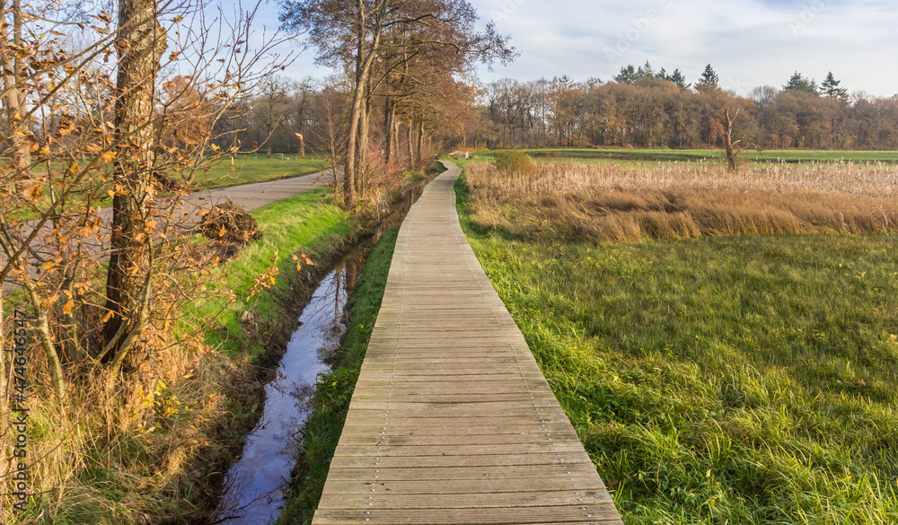 Wooden boardwalk in the nature area of Oudemolen, Netherlands Wooden boardwalk in the nature area of Oudemolen, Netherlands