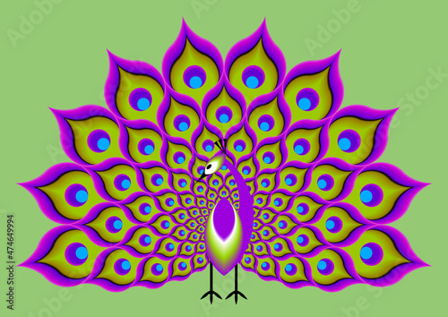 Peacock with green, pink and purple tail. Optical expansion illusion.