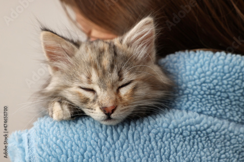 Photos Cute fluffy kitten on owner's shoulder against light background, closeup