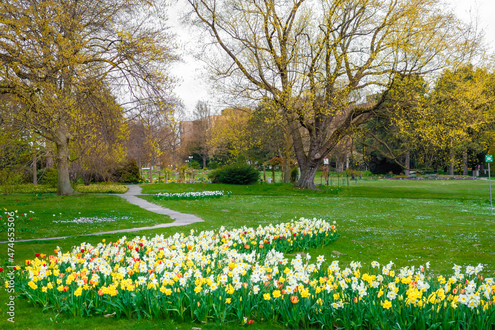 Obraz premium spring in the park