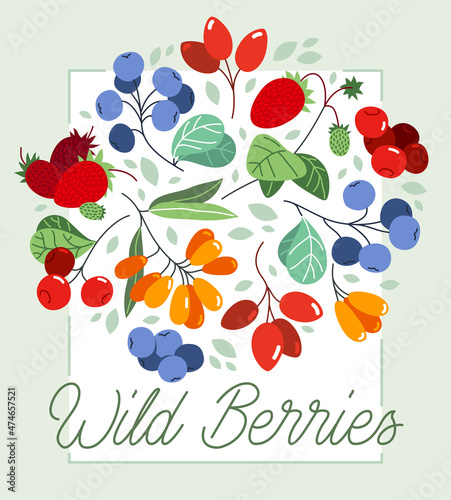 Wild berries fresh and ripe tasty healthy food vector flat style illustration isolated over white, delicious vegetation diet eating, organic food.
