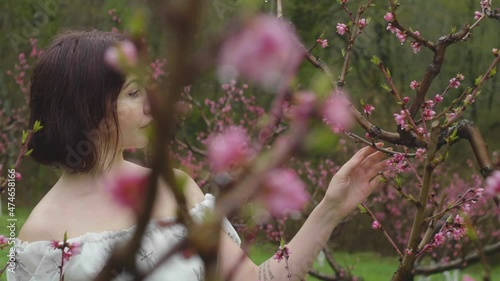 Medium shot of a woman walking in a peach orchard in spring