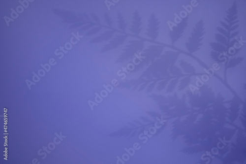 Abstract shadow background of natural fern leaves  falling on Veri Peri wall texture for background and wallpaper. Nature shadow pattern art on the wall. Color of the year 2022.