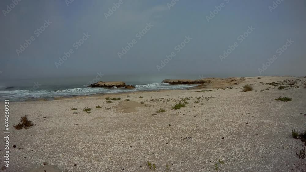 Shell coast of the Caspian Sea. Kazakhstan. Mangistau region. 15 July 2020 year. Shell coast of the Caspian Sea. Kazakhstan. Mangistau region. 15 July 2020 year.
