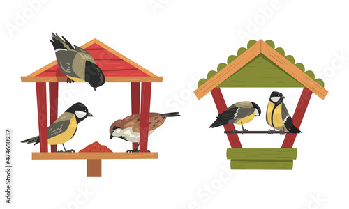 Winter Birds Feeding by Seeds and Grains Poured on Birdfeeder or Bird Table Vector Set