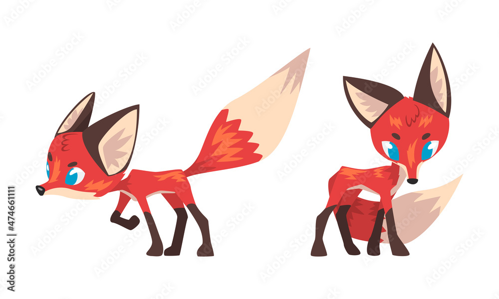 Obraz premium Cute Fox Character with Bushy Brush Tail and Triangular Ears Vector Set