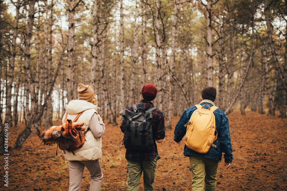 Group of friends travelers with backpacks hiking in a forest. Wanderlust concept.