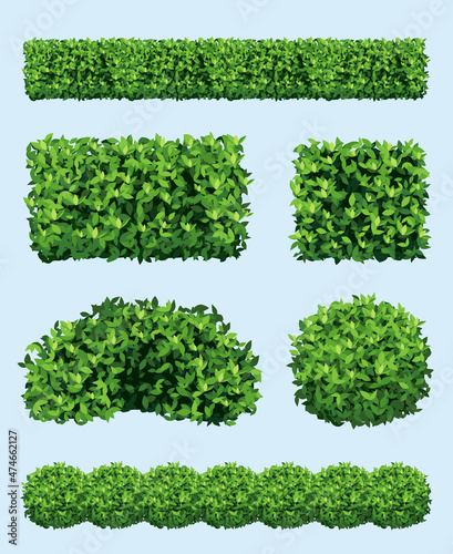 Print op canvas Green shrub