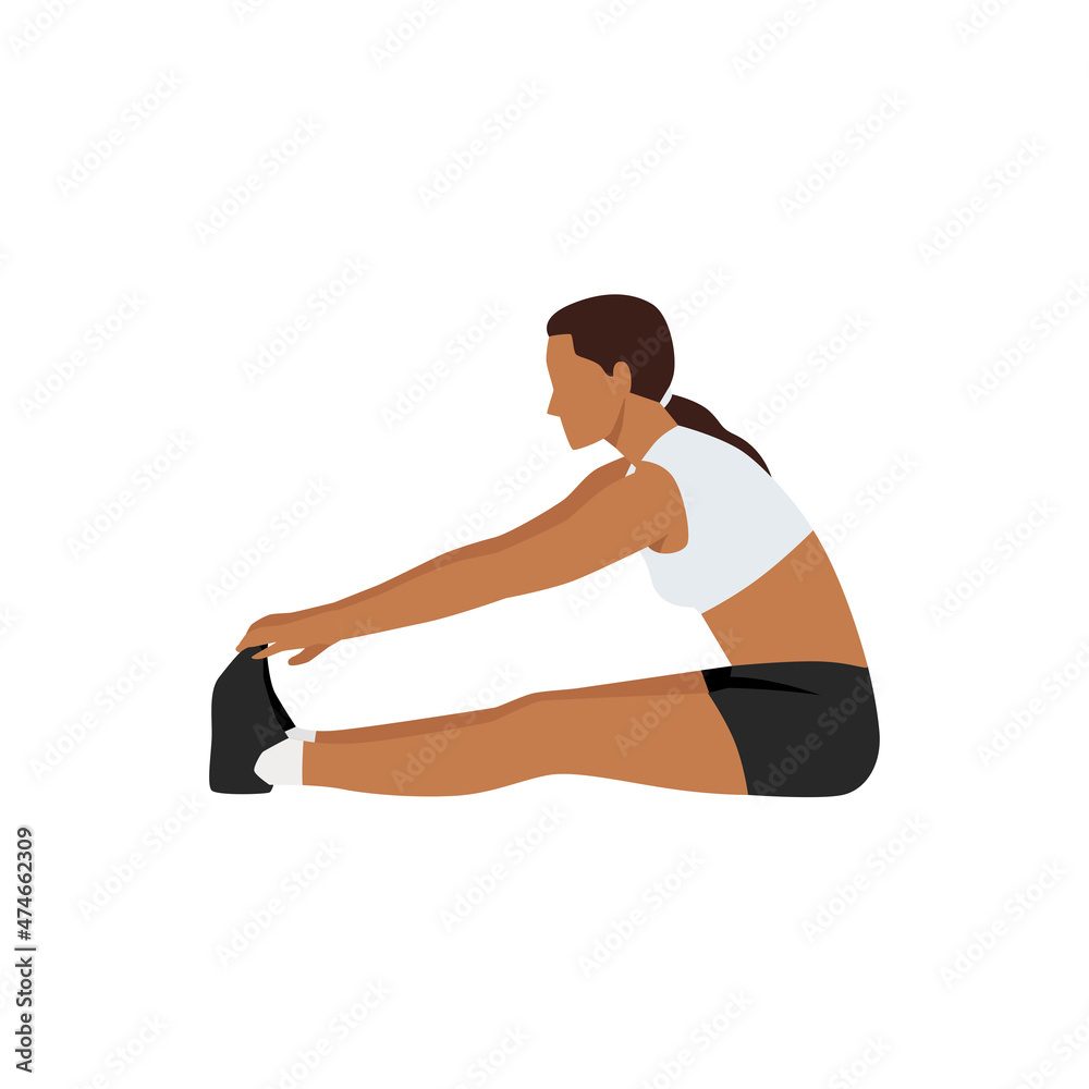 Woman doing Seated forward bend stretch exercise. Flat vector illustration isolated on white background Woman doing Seated forward bend stretch exercise. Flat vector illustration isolated on white background