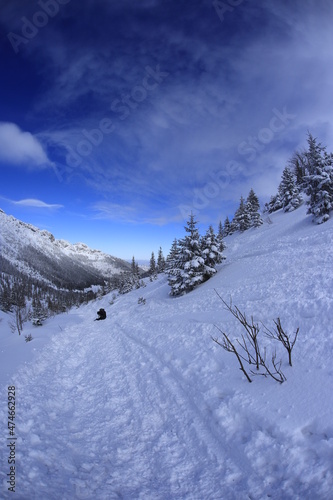 Wallpaper Mural Kondratowa Valley in Winter, Tatra Mountains Torontodigital.ca