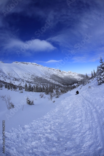 Wallpaper Mural Kondratowa Valley in Winter, Tatra Mountains Torontodigital.ca