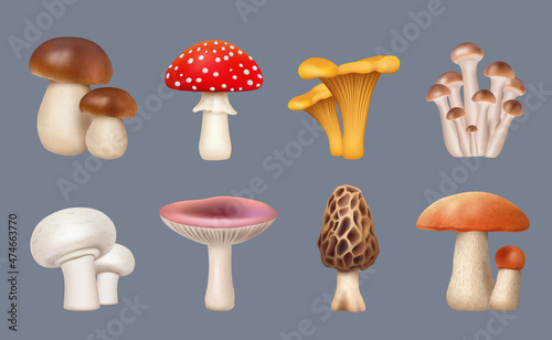 Mushroom realistic. Harvest forest plants chanterelle white mushrooms fungus decent vector collection set isolated