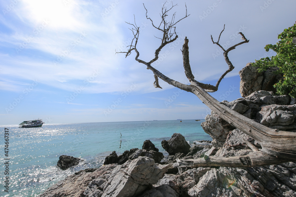 Passenger crossing for tourists and cargo