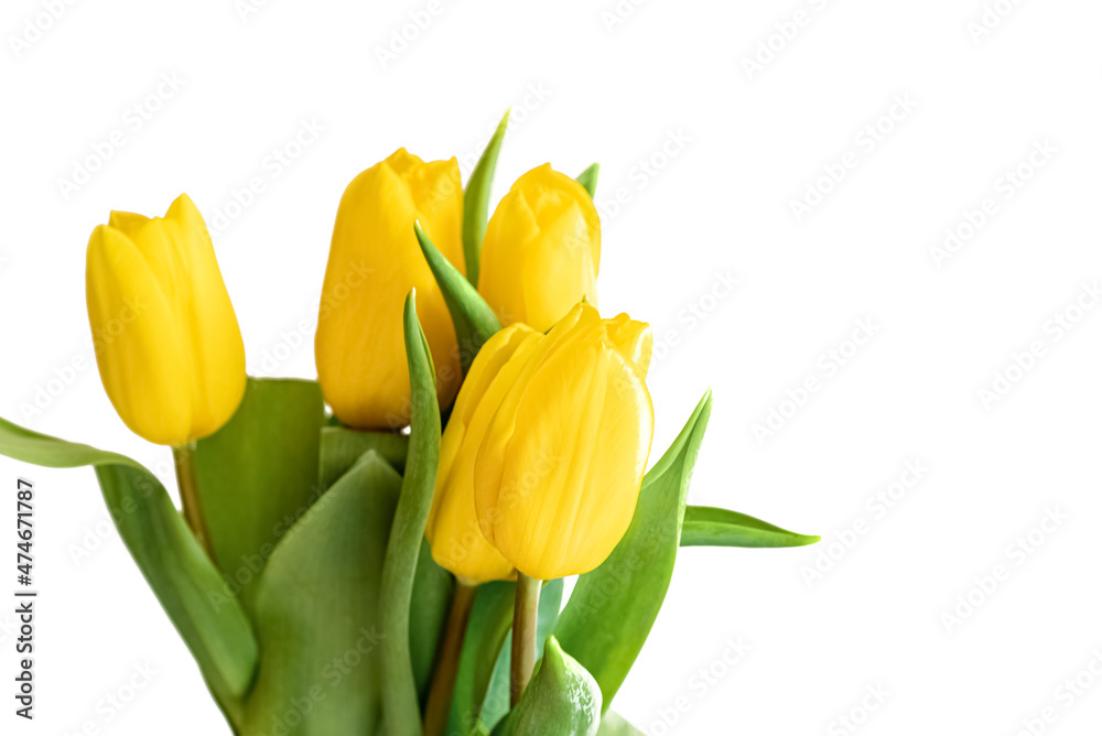 Bunch of yellow tulips on white background Bunch of yellow tulips on white background