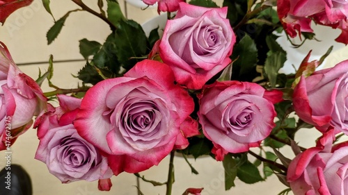 Bouquet of roses close up