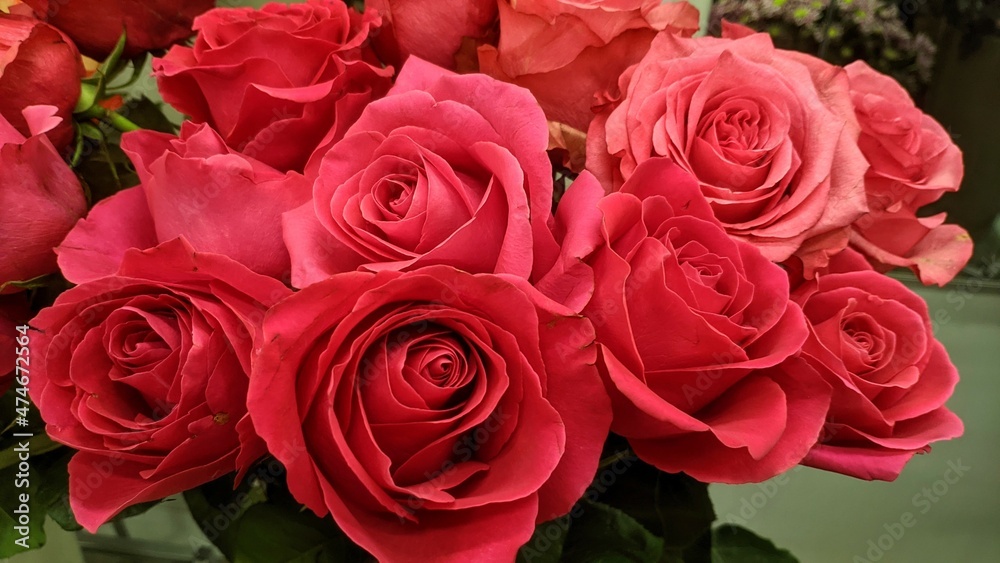 bouquet of red roses bouquet of red roses