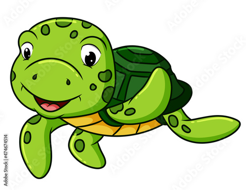 The happy turtle is waving the hand under the water