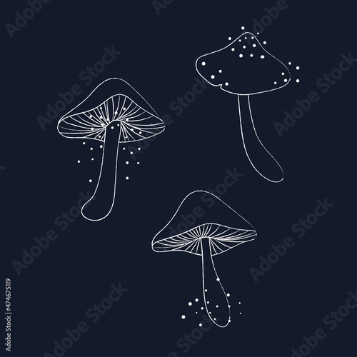A set of three white contours of very cute magic mushrooms on a dark background with fabulous glowing lights. Hand drawn vector illustration
