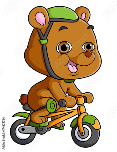 The sporty bear is cycling with using helmet © HERMANTO