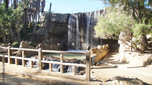 Puentes de madera del Parque el Palmeral en Alicante, con grandes zonas de lagunas con agua photo