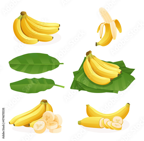 Set of fresh banana bunches, single, peel, cut slice and leaves illustration isolated on a white background