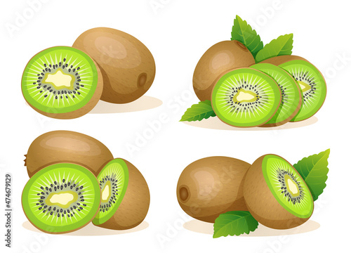 Collection of fresh kiwi fruit whole, half and cut slice illustration isolated on white background