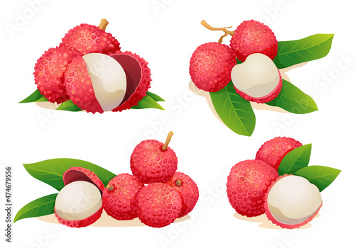 Set of fresh lychee fruit illustrations isolated on white background photo