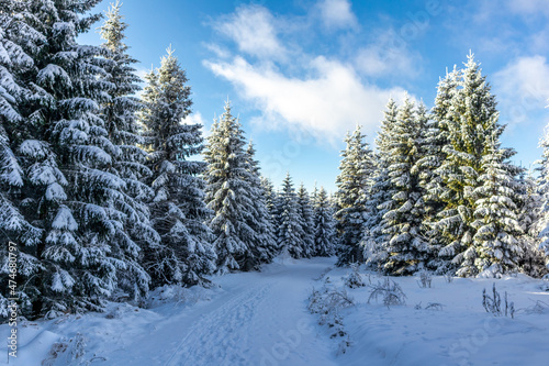 Schöne Winterlandschaft auf den Höhen des Thüringer Waldes bei Oberschönau - Thüringen © Oliver Hlavaty