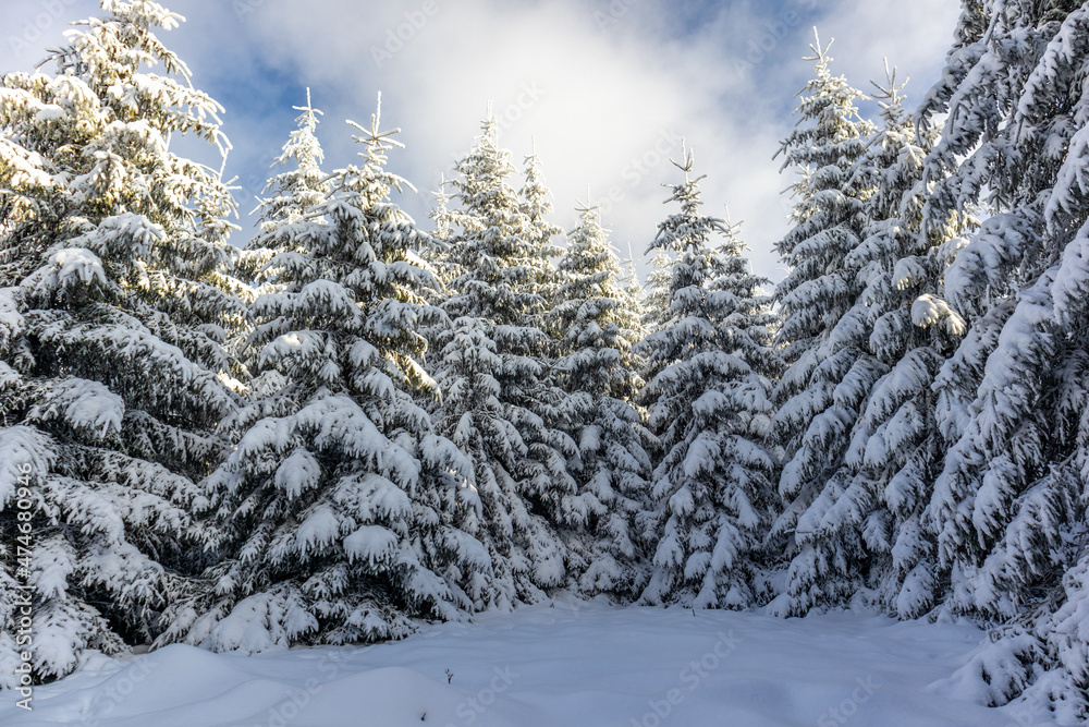 Schöne Winterlandschaft auf den Höhen des Thüringer Waldes bei Oberschönau - Thüringen Schöne Winterlandschaft auf den Höhen des Thüringer Waldes bei Oberschönau - Thüringen