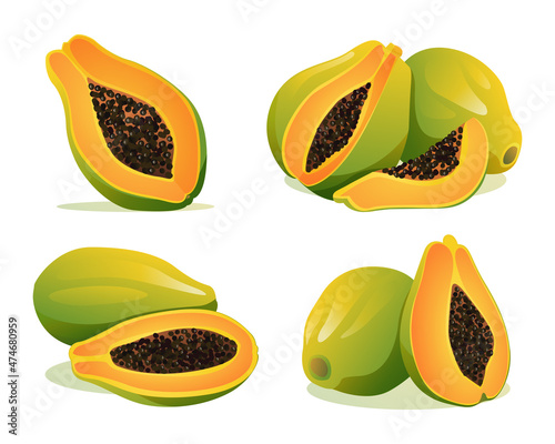 Set of fresh whole and half cut papaya illustration isolated on white background