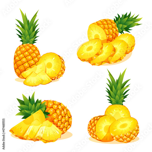 Set of fresh whole, half and cut slice pineapples illustration isolated on white background