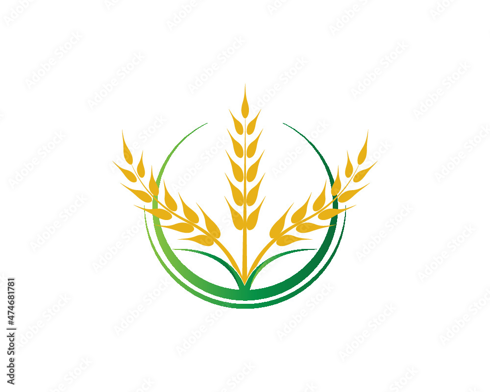 agriculture wheat logo with free vector agriculture wheat logo with free vector