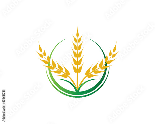 agriculture wheat logo with free vector 