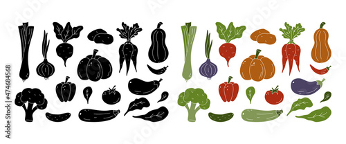 Vegetables set. Color and black silhouette elements on white background. Hand drawn isolated illustration of onion, carrot, pumpkin, broccoli, eggplant, beet, pepper, tomato, lettuce for food design
