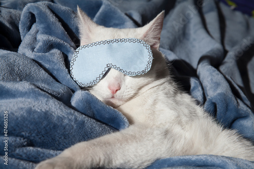 Fotografie Beautiful white cat sleeps in a mask on a plush blanket