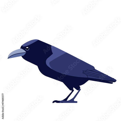 Crow is a genus of birds in the crow family Corvidae. Black raven bird Cartoon flat style character of ornithology, vector illustration isolated on white background