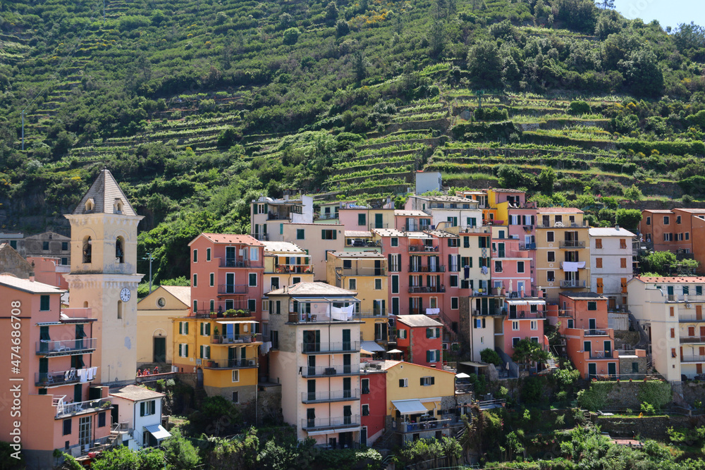 Colorful buildings on the mountainside in Manarola Italy.