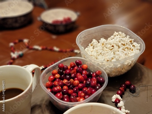 oatmeal with cranberries