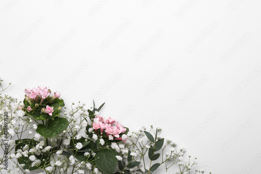 Beautiful floral composition with gypsophila flowers on white background, top view. Space for text