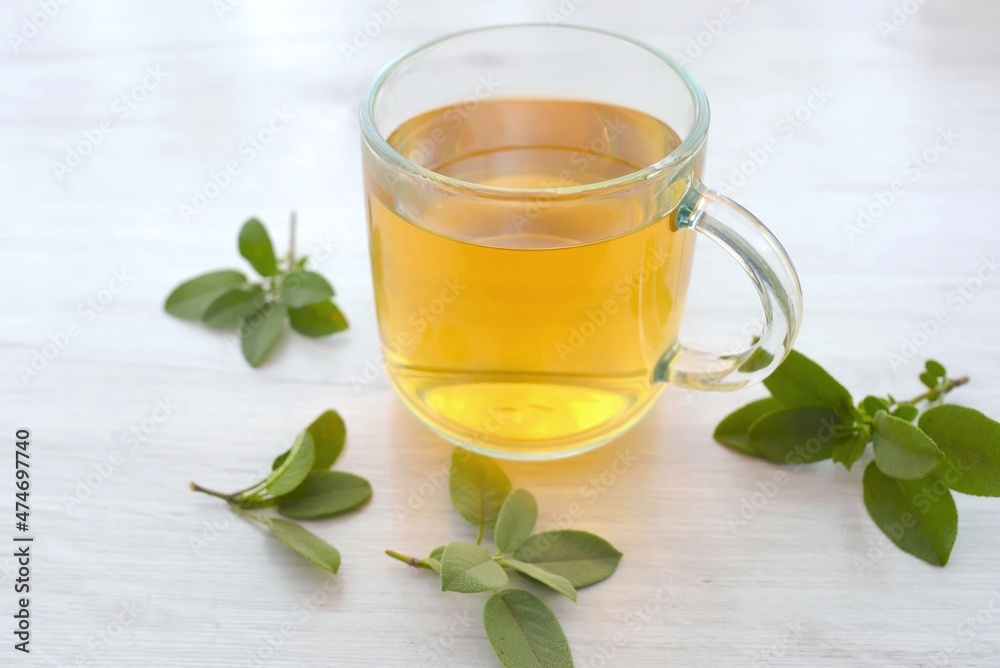 cup of tea with mint cup of tea with mint