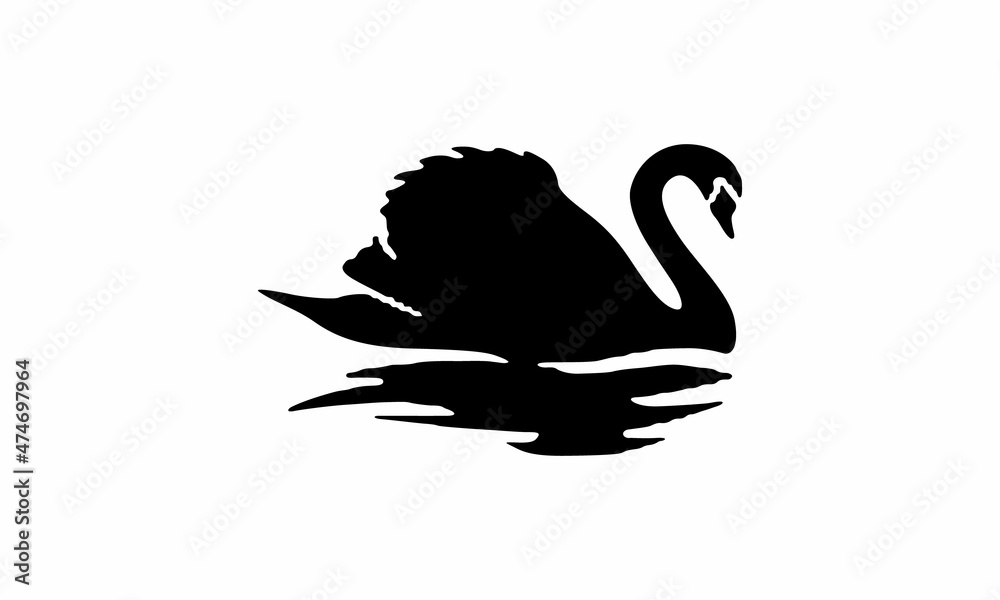 Obraz premium swans on the water