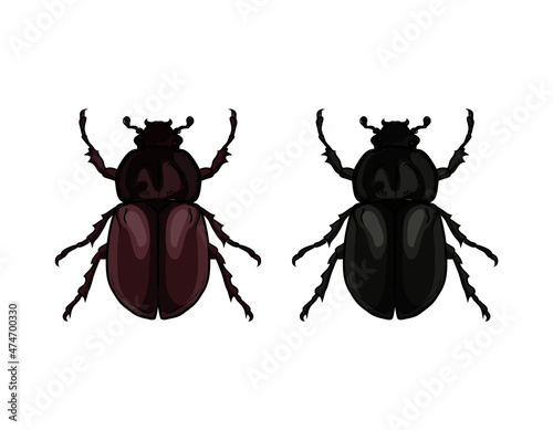 vector rhinoceros beetle, hercules beetle, unicorn beetle, horned beetle, female, red and black on a white background.
