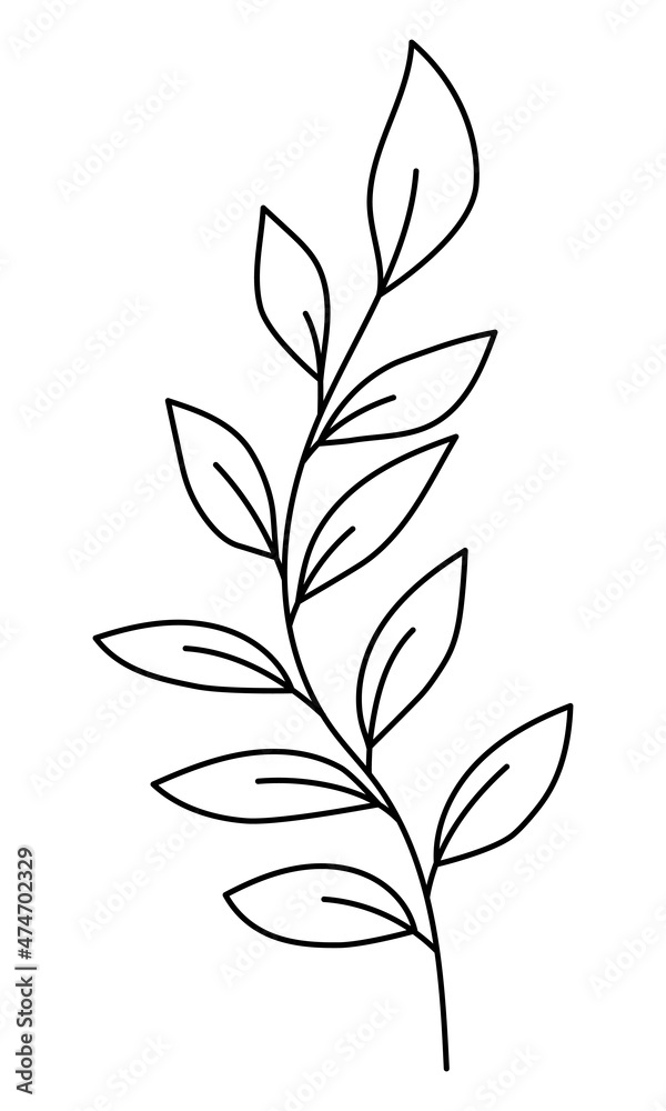 Vector twig with leaves in a minimalist style. Sprig isolated on white background. Floral elements. Hand-drawn botany. Vector elements for textile design and typography Vector twig with leaves in a minimalist style. Sprig isolated on white background. Floral elements. Hand-drawn botany. Vector elements for textile design and typography