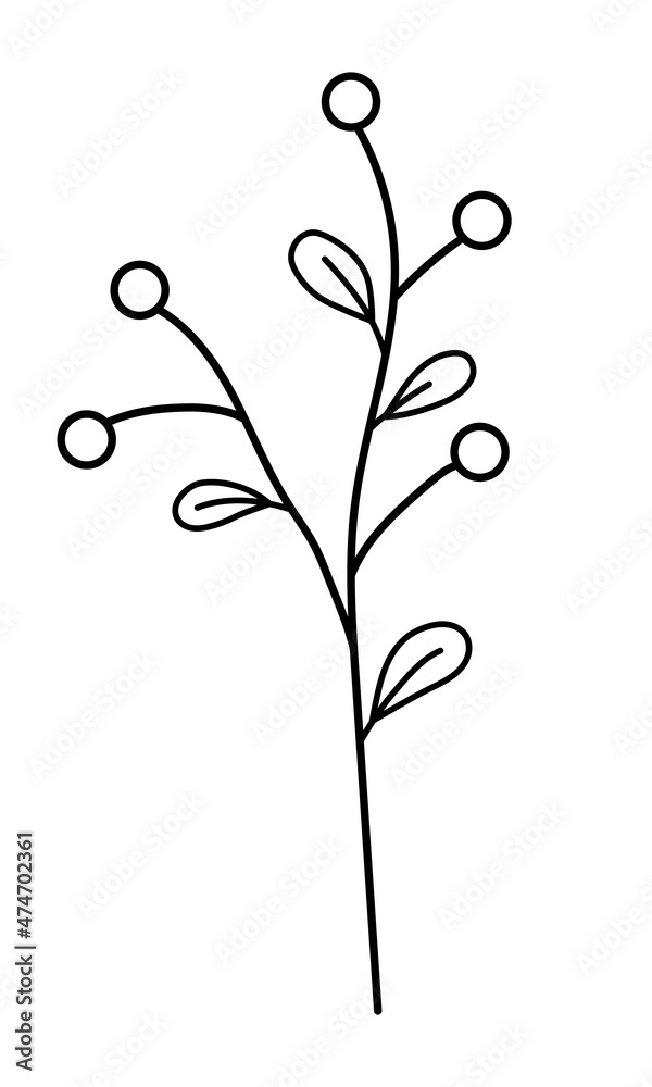 Vector sprig with leaves and berries in a minimalist style. Sprig isolated on white background. Floral elements. Hand-drawn botany. Vector elements for textile design and typography.