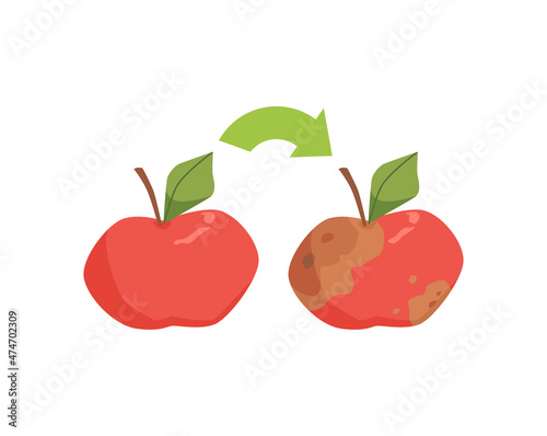 Arrow shows how fresh apple become uneatable rotten dirty old apple. Food got wasted and spoiled cartoon vector.