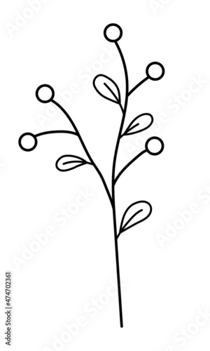 Vector sprig with leaves and berries in a minimalist style. Sprig isolated on white background. Floral elements. Hand-drawn botany. Vector elements for textile design and typography.