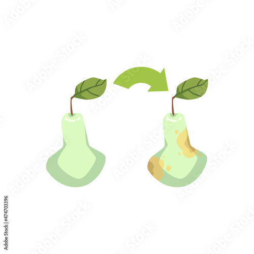 Pear turning to rotten with expired term, flat vector illustration isolated.