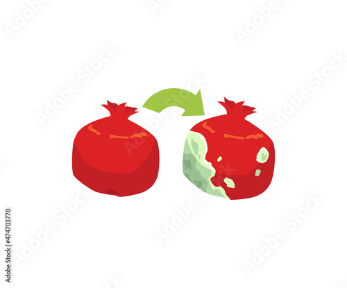 Pomegranate becomes rotten unfit for food, flat vector illustration isolated.