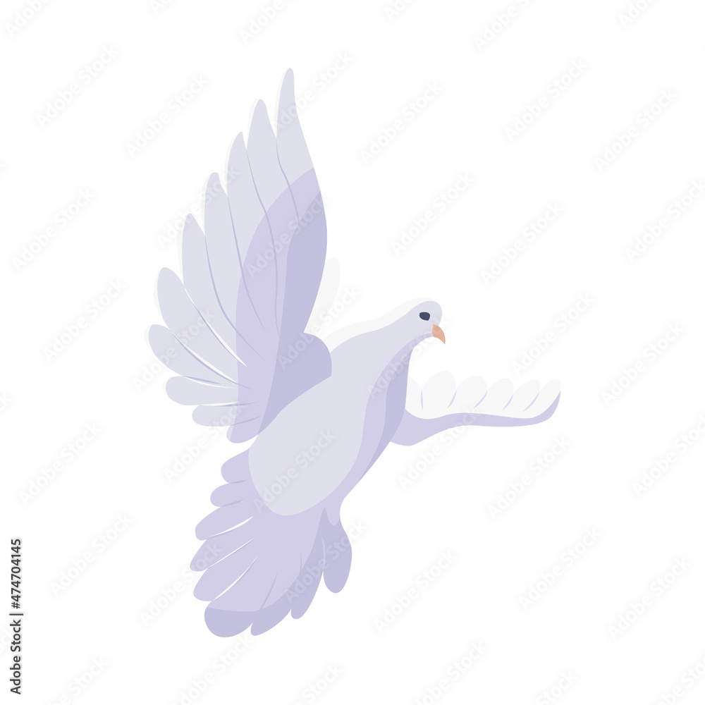 Obraz premium White pigeon dove flying isolated on white background. Peace symbol.