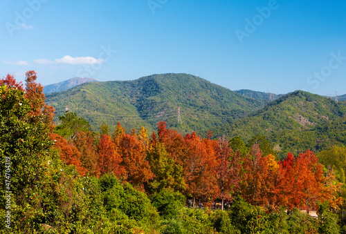 Photography Idyllic landscape of country park Tai Tong in Yuen Long, Hong Kong in autumn sea